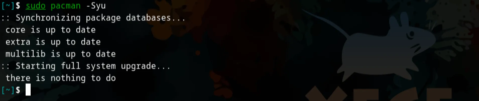 System Update